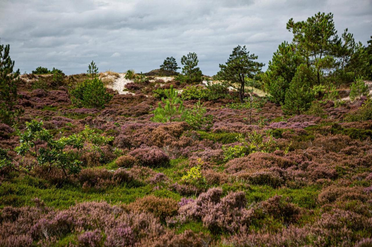 Strandhotel Camperduin Schoorl Exteriér fotografie